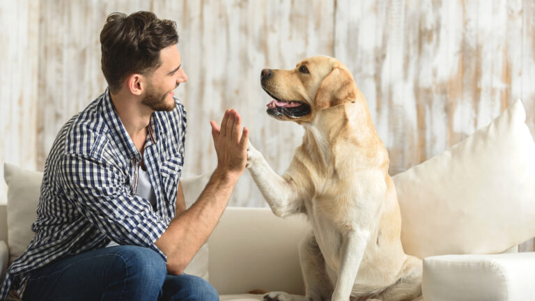 Hombre y perro dandose una palmada